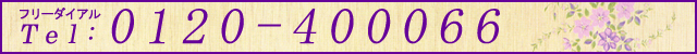 �t���[�_�C�A���@0120-400066
